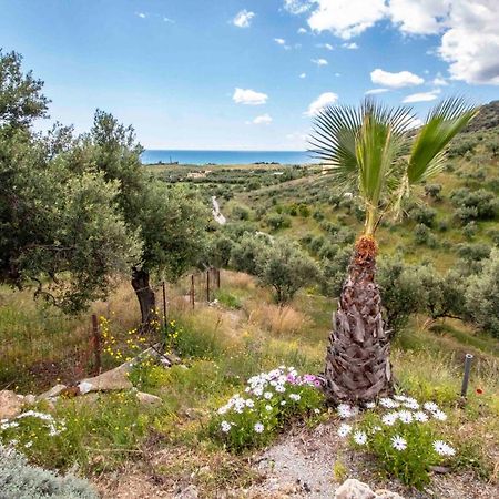 Laconian Collection # Gytheio Sea View Kostantinos Apartment# Selinitsa المظهر الخارجي الصورة